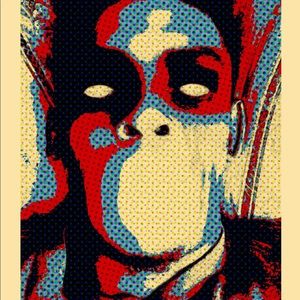 Meet your Posher, Amari